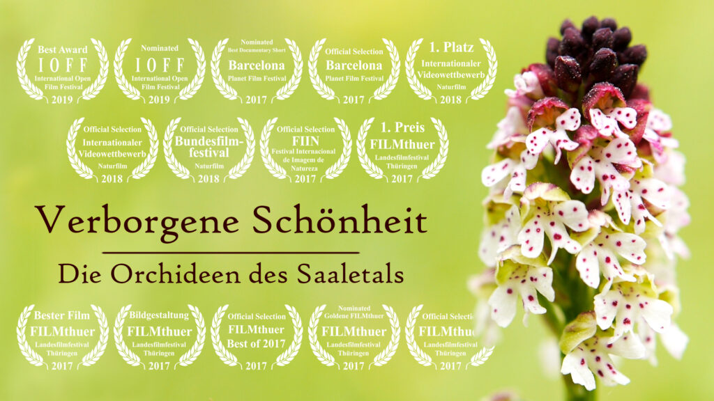 Filmposter "Verborgene Schönheit - Die Orchideen des Saaletals" David Cebulla