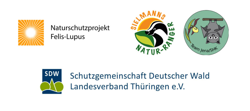 Unterstützer Thüringens Waldwildnis