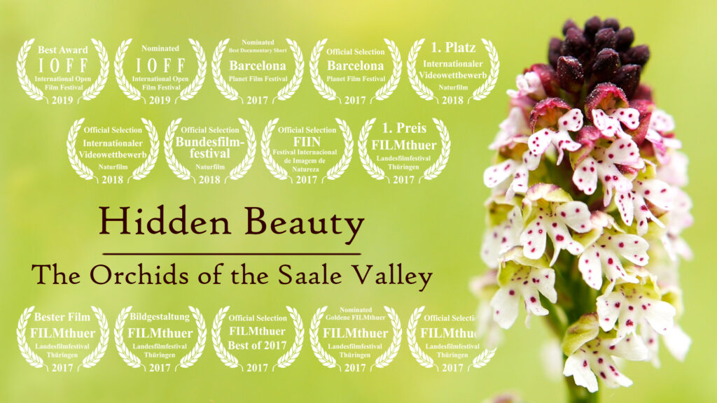 film poster "Hidden Beauty - Orchids of the Saale Valley"