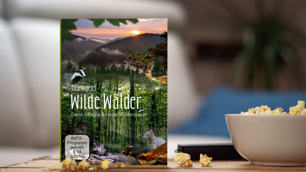 DVD "Wilde Wälder" David Cebulla Naturfilme