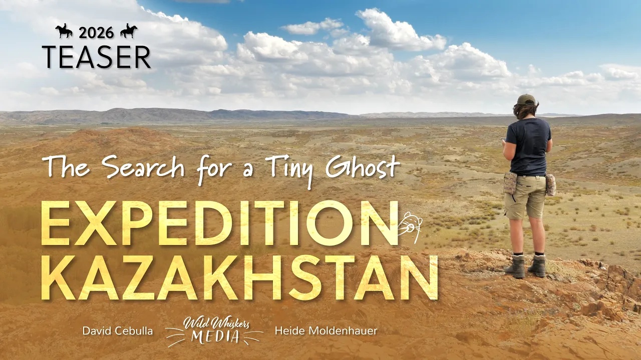 Filmposter Expedition Kazakhstan David Cebulla