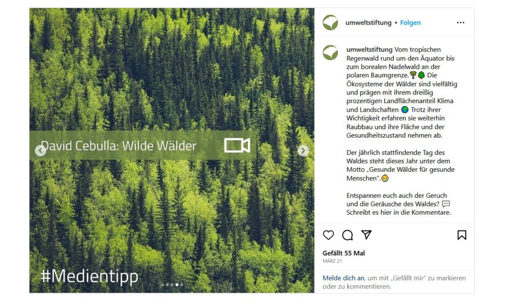 Umweltstiftung Medientipp Wilde Wälder