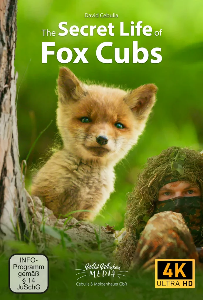 The secret life of fox cubs - movie poster