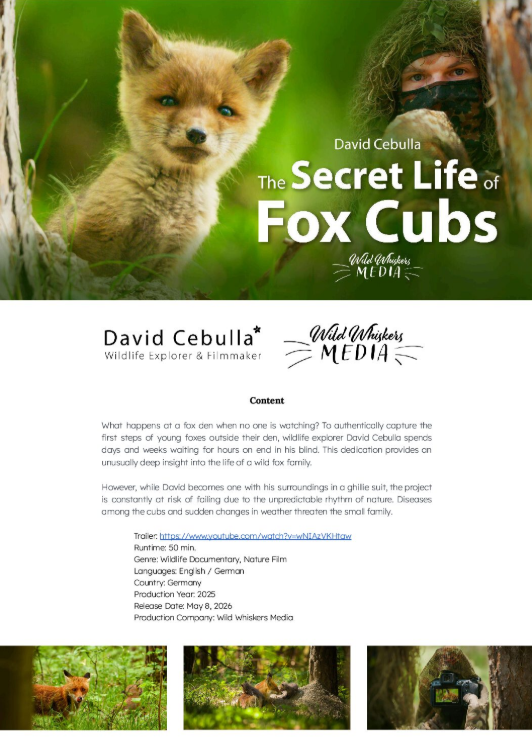 Preview Press Note The Secret Life of Fox Cubs